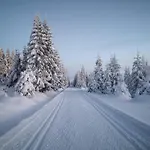 Rodinne Rafael * Bedřichov