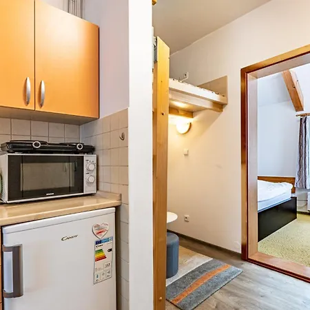 Apartment Rodinne Rafael *